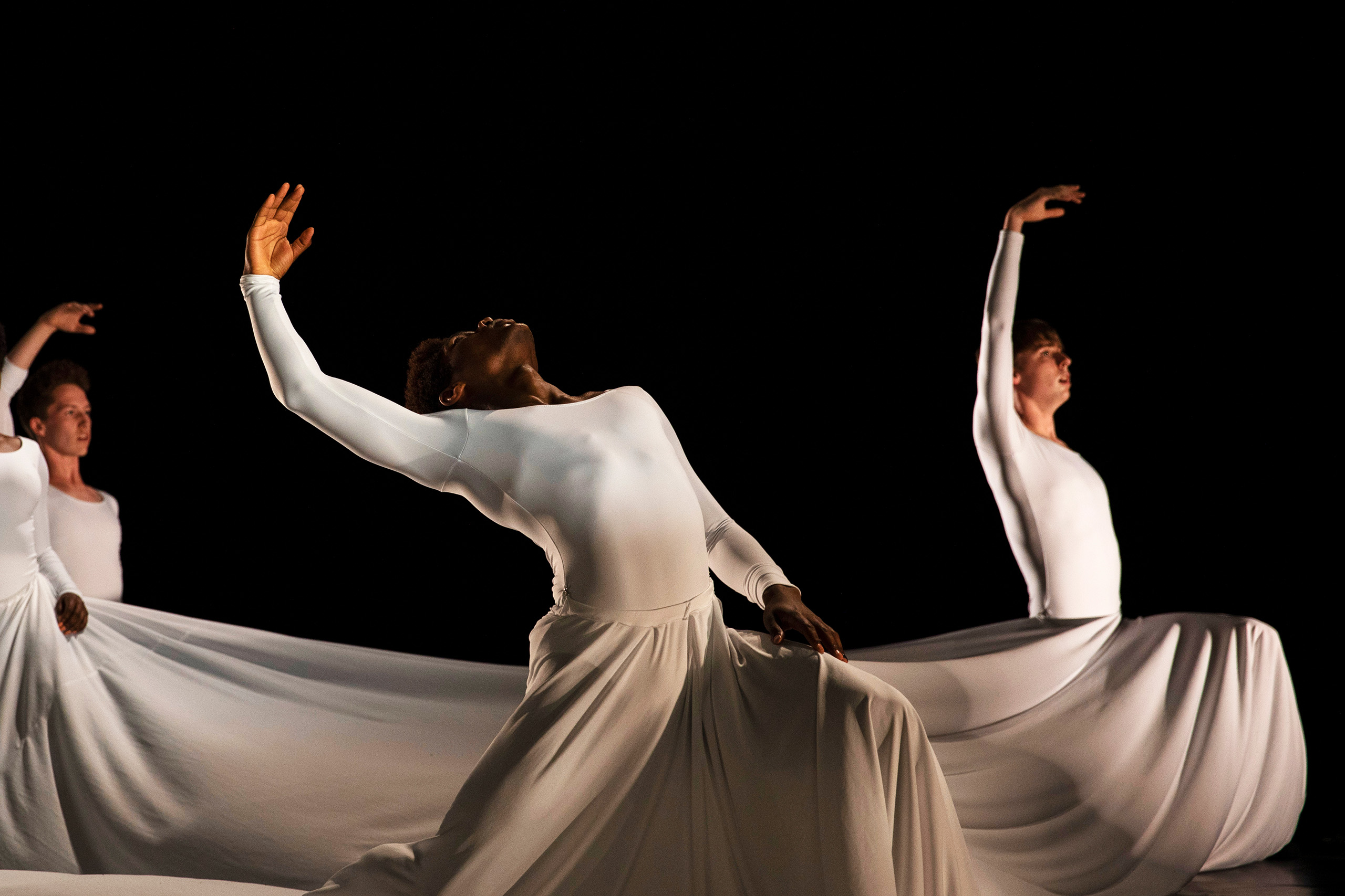 Rooted Quail Image 1